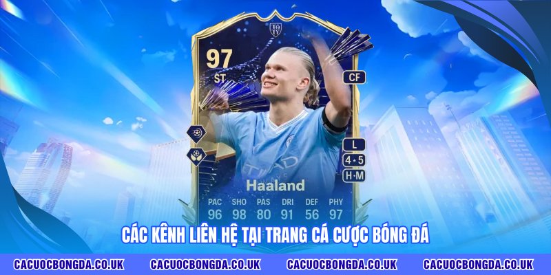Các kênh liên hệ tại TRANG CÁ CƯỢC BÓNG ĐÁ