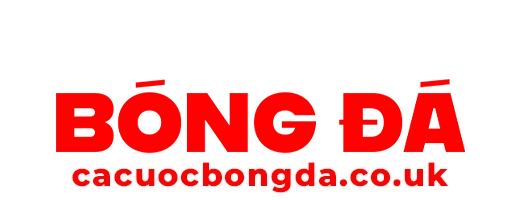 Trang cá độ bóng đá