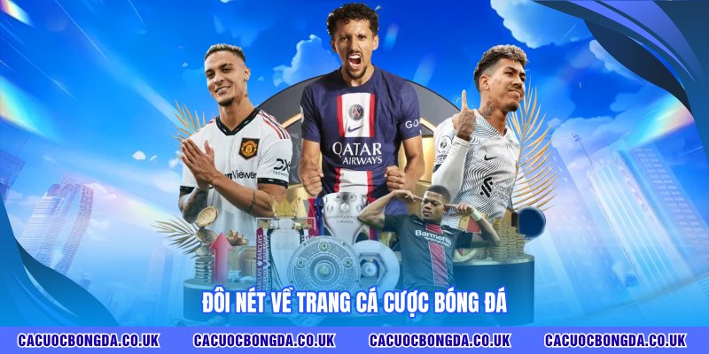 Đôi nét về trang cá độ bóng đá