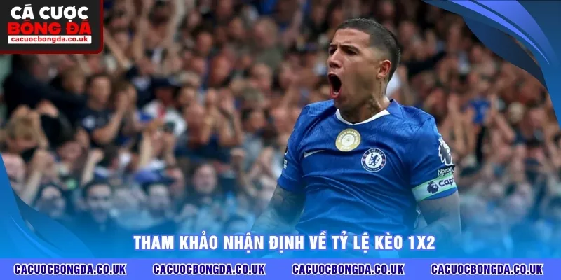 Tham khảo nhận định về tỷ lệ kèo 1x2
